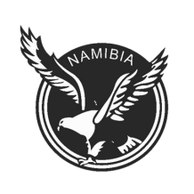 Chupeta para bebé com o emblema da seleção nacional da Namíbia. Estilo único para pequenos fãs de futebol. Visite chupeta-bebe.c