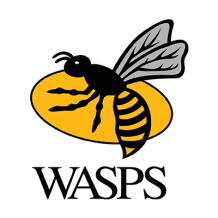 Chupetas e acessórios London Wasps, perfeitos para o seu bebé. Siga as novidades em chupeta-bebe.com.