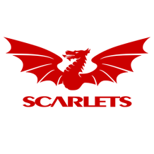 Chupeta Llanelli Scarlets, perfeita para os pequenos fãs de rugby. Conforto e estilo para o seu bebé. Visite chupeta-bebe.com.