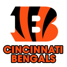Body e acessórios Cincinnati Bengals para bebés. Estilo e conforto para os pequenos fãs de desporto. Disponível em chupeta-bebe.