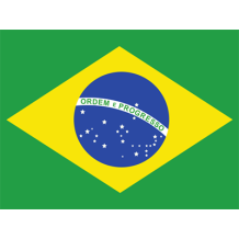 Bandeira Oficial do Brasil, perfeita para personalizar acessórios do bebé com um toque único e divertido. Ideal para chupetas e 