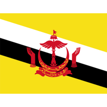 Bandeira Oficial do Brunei Darussalam, perfeita para personalizar o quarto do seu bebé. Descubra mais em chupeta-bebe.com.