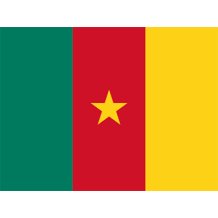 Bandeira Oficial de Camarões, perfeita para personalizar artigos de bebé como bodies, babetes e chupetas.