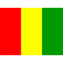 Bandeira Oficial da Guiné-Bissau para bebés, ideal para dar um toque especial aos acessórios do seu pequeno.