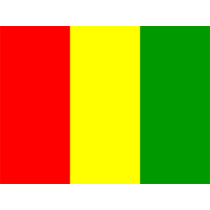 Bandeira Oficial da Guiné-Bissau para bebés, ideal para dar um toque especial aos acessórios do seu pequeno.