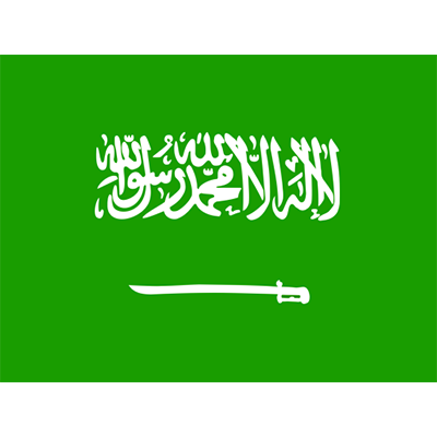 Bandeira Oficial da Arábia Saudita em artigos personalizados para bebés. Descubra as nossas opções únicas no chupeta-bebe.com.
