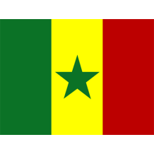 Bandeira Oficial do Senegal em produtos para bebé, ideal para dar um toque especial ao dia a dia do seu pequeno.