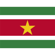 Bandeira Oficial do Suriname para acessórios de bebé, ideal para personalizar o seu estilo e mostrar orgulho cultural.