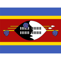 Bandeira Oficial de Essuatíni, ideal para personalizar artigos de bebé e expressar a sua cultura. Disponível em chupeta-bebe.com