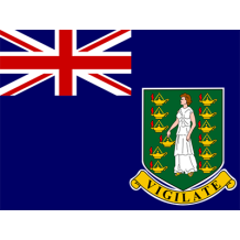 Bandeira Oficial das Ilhas Virgens, ideal para personalizar artigos para bebé, como chupetas e babetes. Disponível em chupeta-be