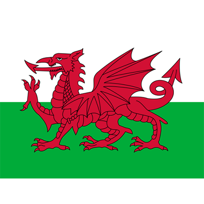 Bandeira Oficial do País de Gales, perfeita para personalizar produtos para bebé com um toque cultural e divertido.