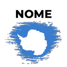 Bandeira com efeito pincel Antártida, ideal para personalizar o quarto do bebé. Dê um toque especial ao espaço!