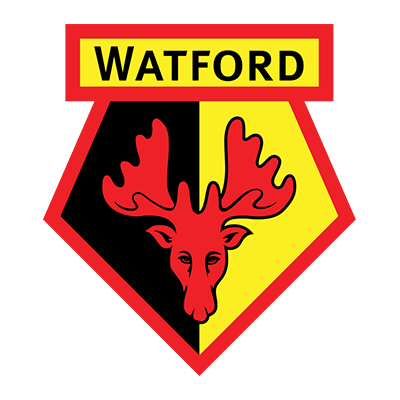 Chupeta para bebé Watford Football Club, perfeita para pequenos torcedores. Conforto e estilo para os mais novos!