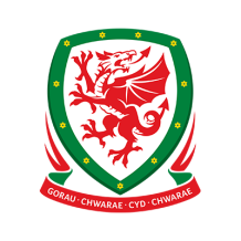 Chupeta com o emblema da Seleção Nacional de Futebol do País de Gales, perfeita para os bebés fãs de desporto.